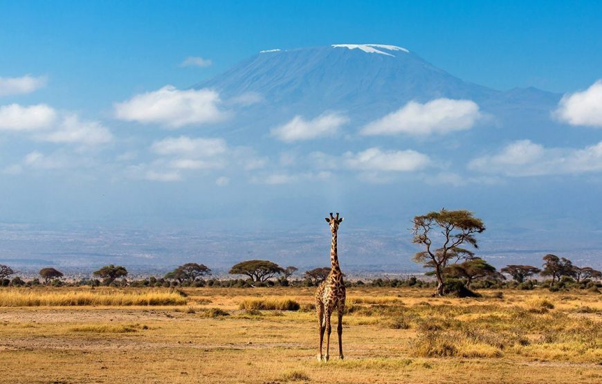 Amboseli National Park