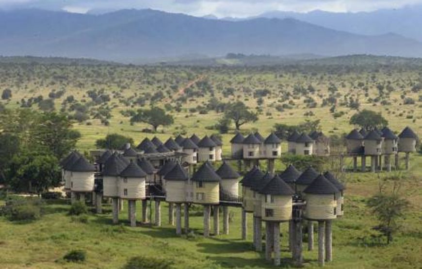 The Shadow of Kilimanjaro – 6 days