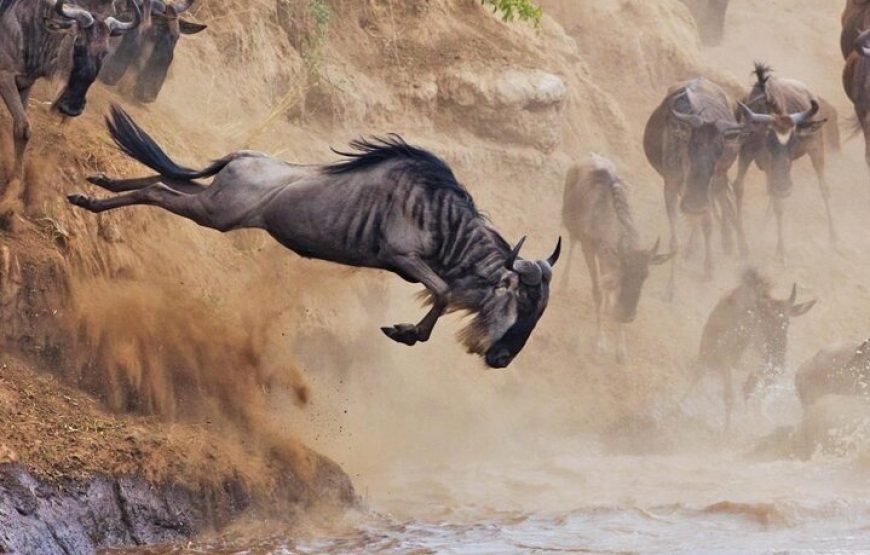 Through the Rift Valley featuring Keekorok – 4 days