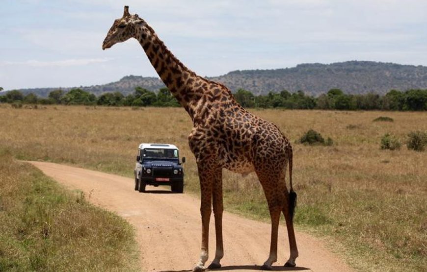 Sweetwaters Game Sanctuary