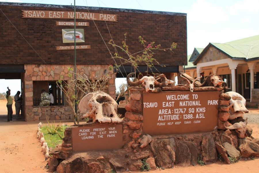 3Days 2 Nights Tsavo West and East Safari Africa Veterans Safaris