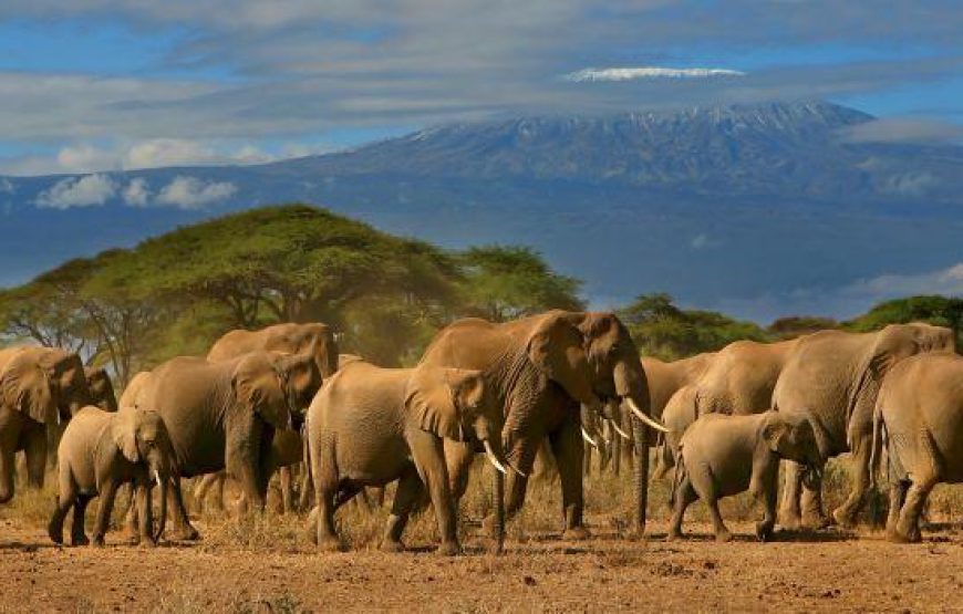 The Shadow of Kilimanjaro – 6 days