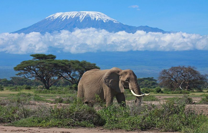 Amboseli National Park