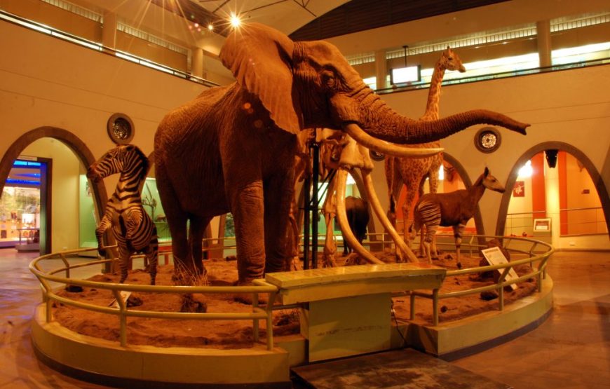 Nairobi National Museum