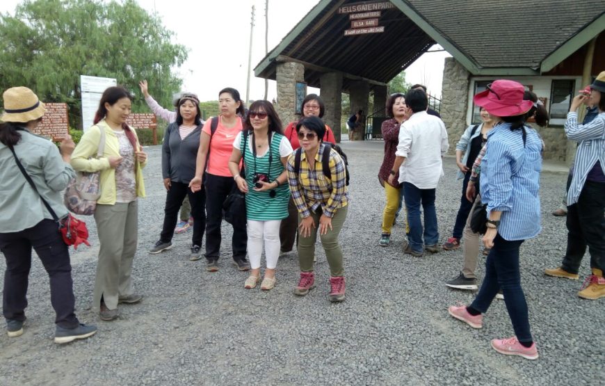 Overland Safaris/ Group Safaris