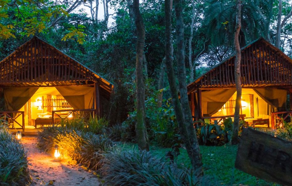 Kibale Forest Camp Nature Lodges