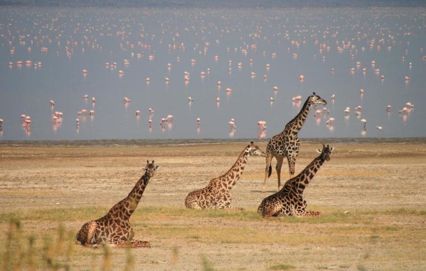 Lake Manyara National Park