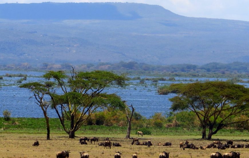 Lake Naivasha