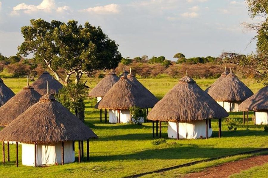 Mara West Camp