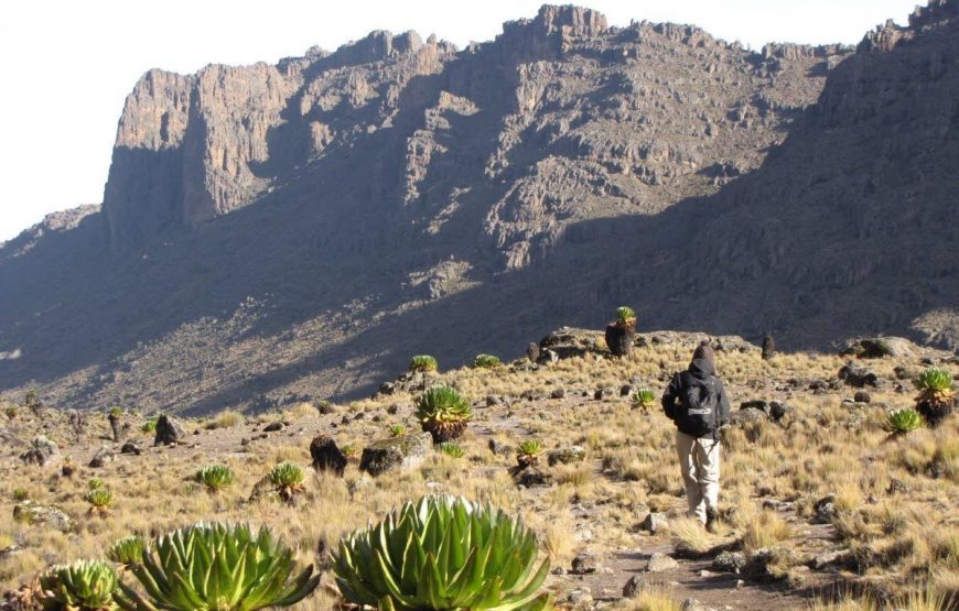 Mt Kenya National Park – For Trekking