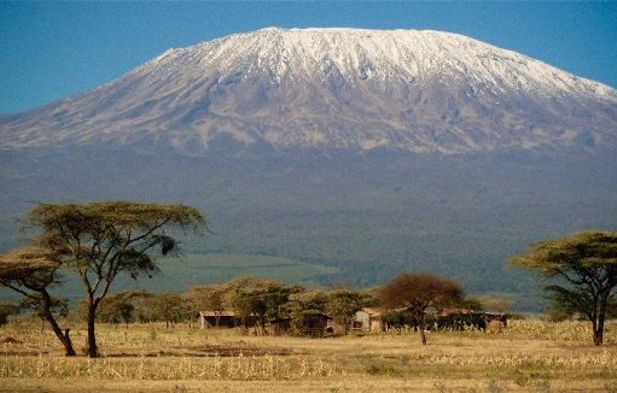 11 Days Kenya Tanzania Safari