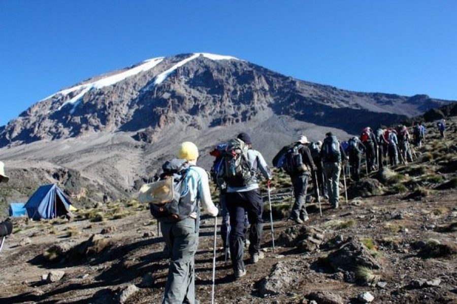 Mt. Kilimanjaro Trekking Gear Africa Veterans Safaris