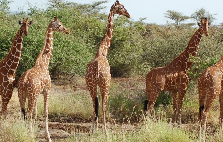 Amboseli National Park