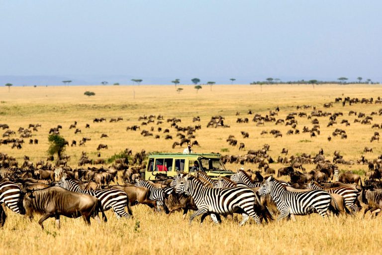 11 nights 12 days road package Samburu – Mt. Kenya –L. Nakuru – Mara. Africa Veterans Safaris