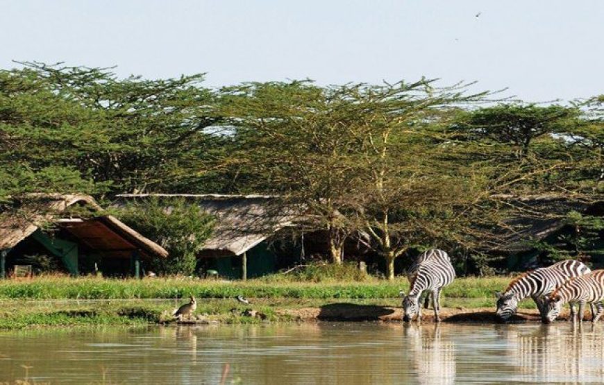 Sweetwaters Game Sanctuary