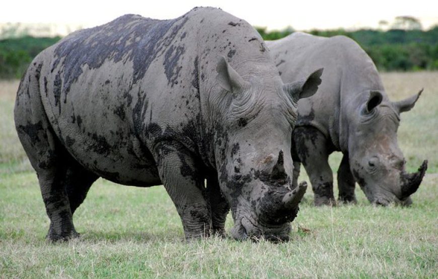 Sweetwaters Game Sanctuary