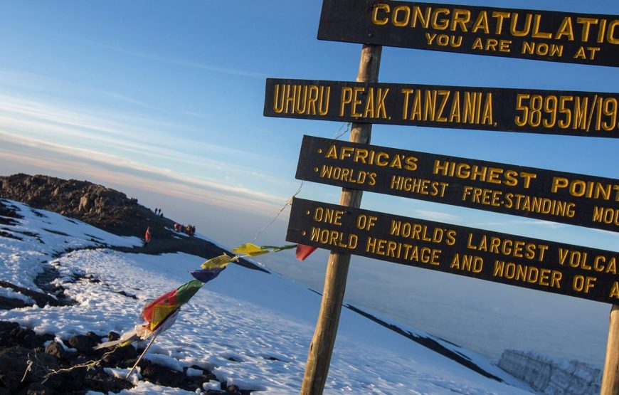 Mt Kilimanjaro