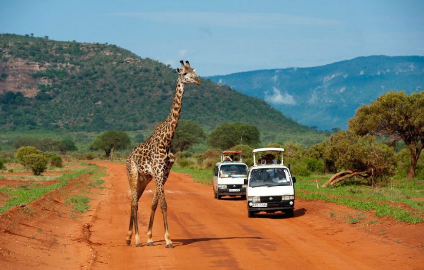 Tsavo East National Park