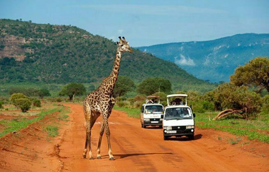 Tsavo National Park