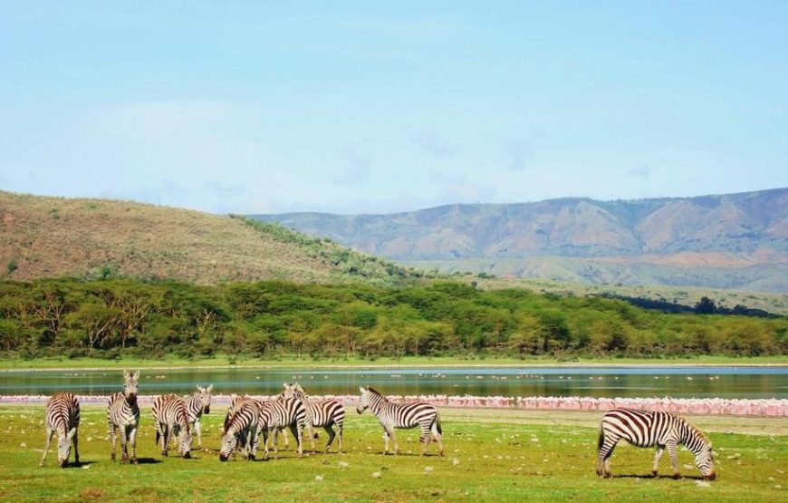 5 Days 4 Nights Camping Safari –Maasai Mara – Naivasha.