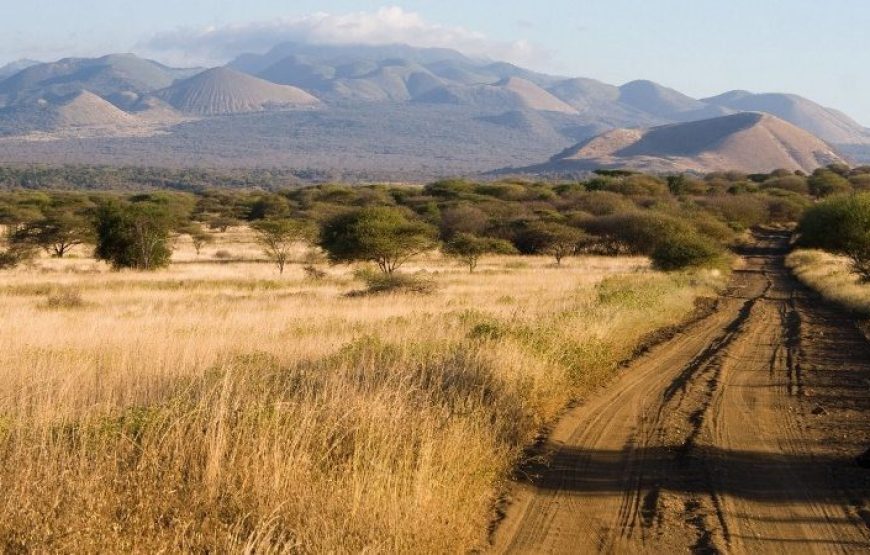 Tsavo West National Park