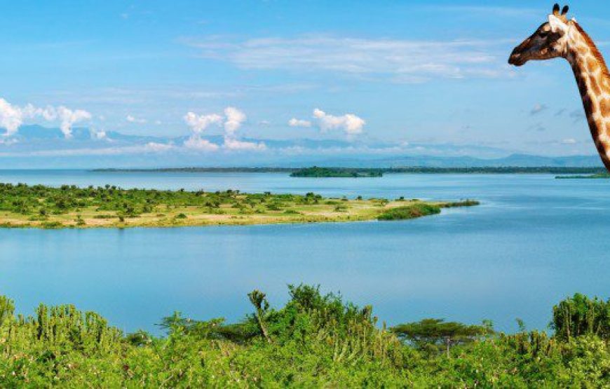 Uganda National Parks