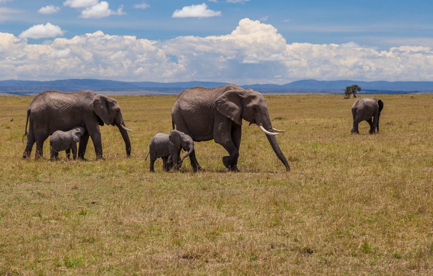 Through the Rift Valley featuring Keekorok – 4 days