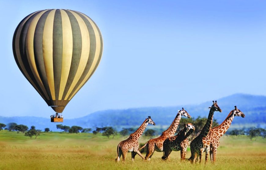 Amboseli Balloon Safari