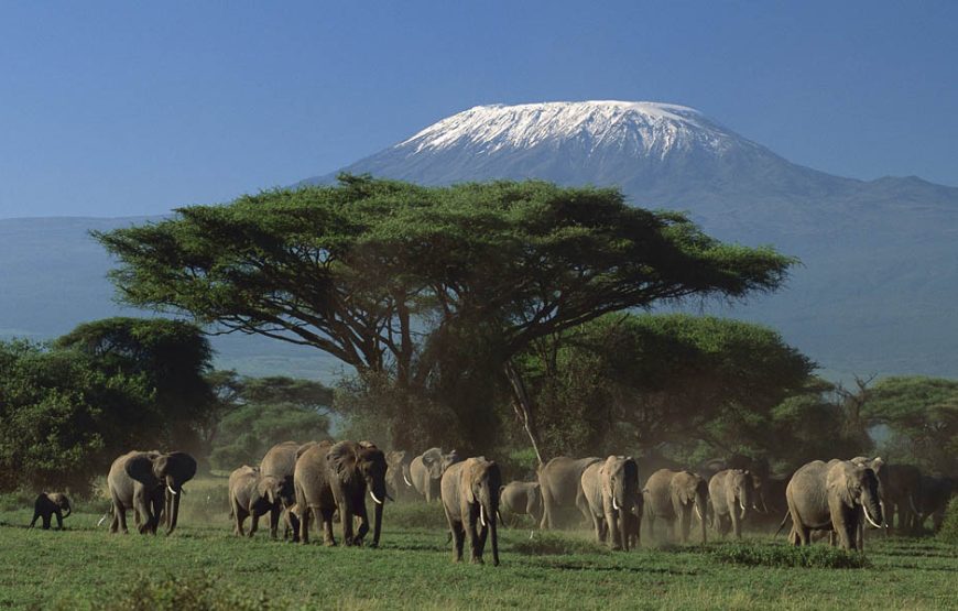 Amboseli National Park