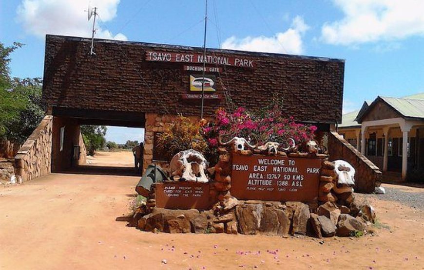 The Shadow of Kilimanjaro – 6 days