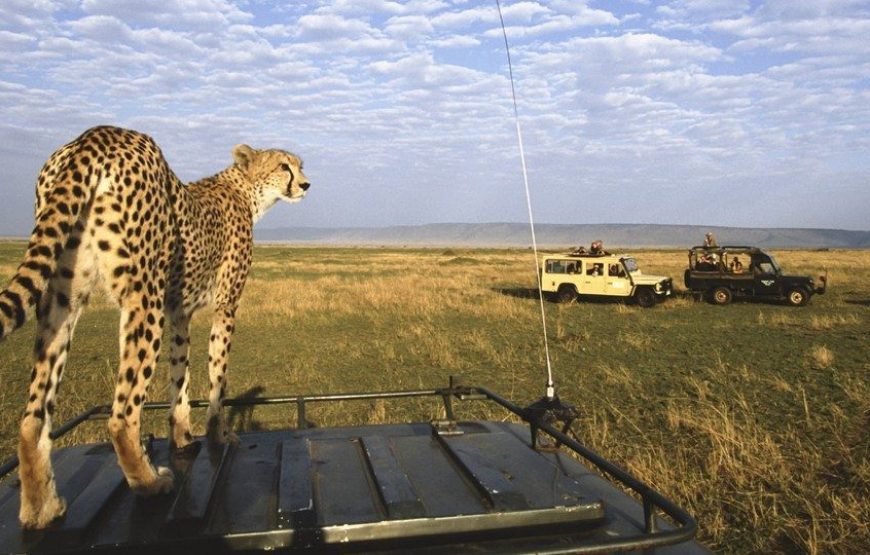 Masai Mara National Reserve