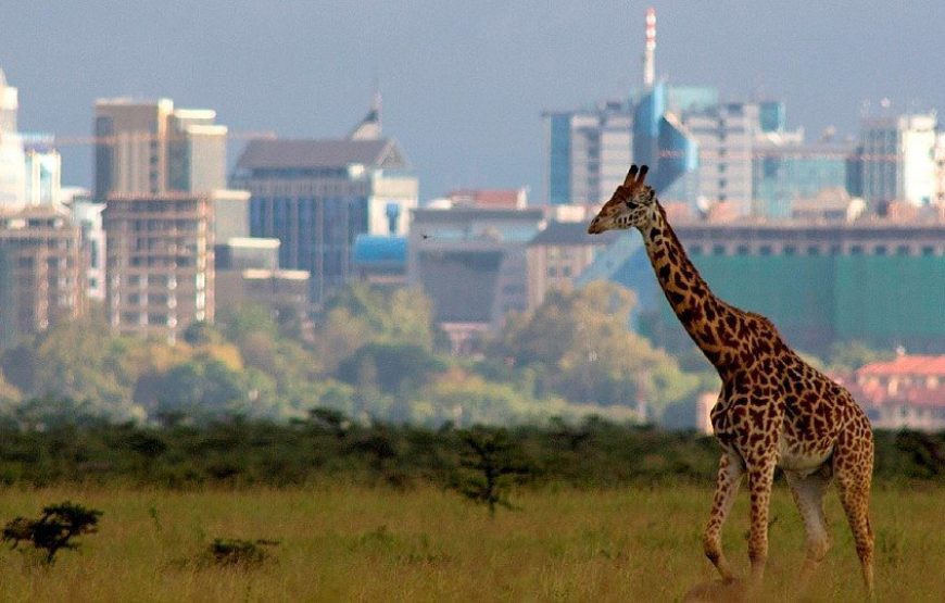 Nairobi National Park