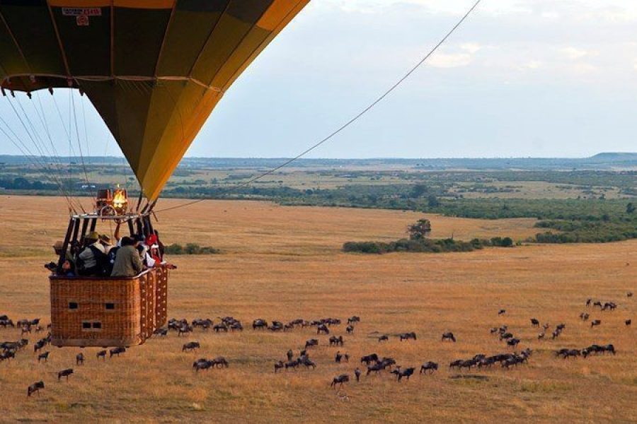Masai Mara Balloon Safari Kenya Africa Veterans Safaris