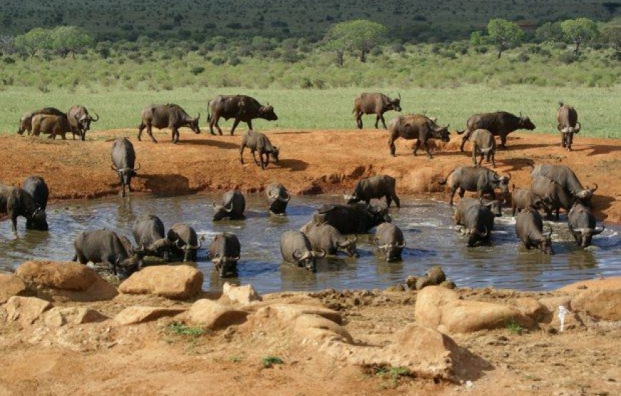 Tsavo East National Park