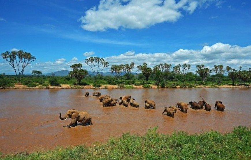 Samburu National Reserve