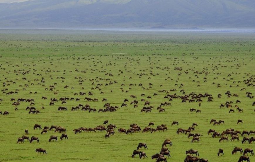 Serengeti National Park