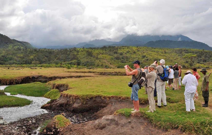 7 Days 6 Nights Lodge and Camping Safari, Tanzania.