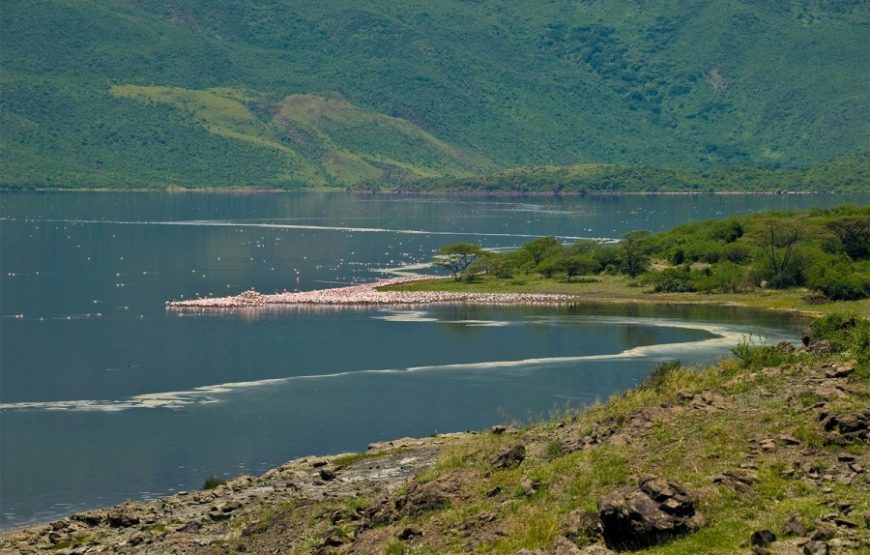 Lake Bogoria National Reserve