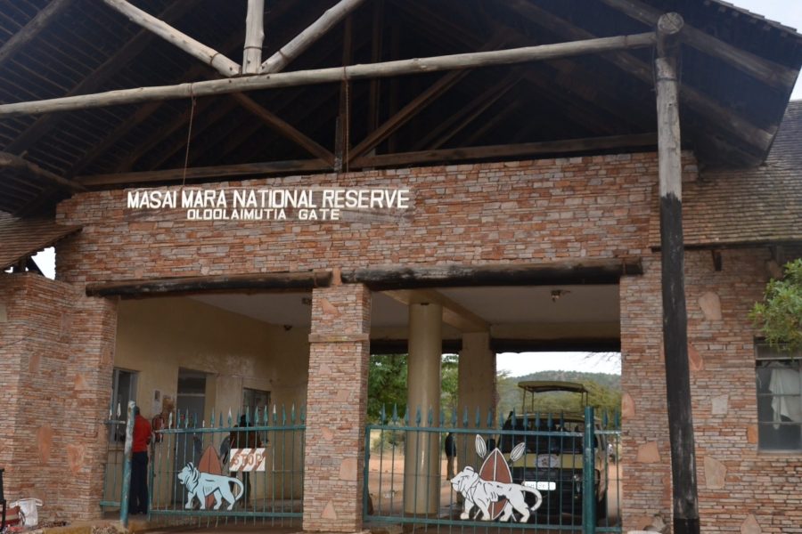 3 Days 2 Nights Masai Mara Budget Safari Africa Veterans Safaris