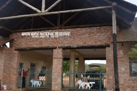 3 Days 2 Nights Masai Mara Budget Safari Africa Veterans Safaris