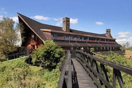 Cheetah Safari Africa Veterans Safaris