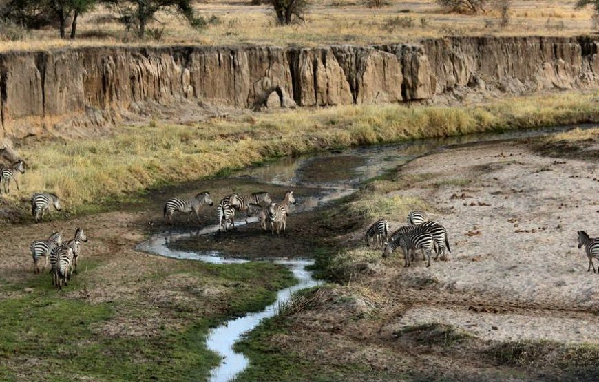 7 Days 6 Nights Lodge and Camping Safari, Tanzania.