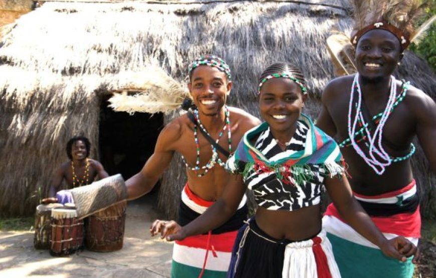 9 Days 8 Nights Cheetah Safari