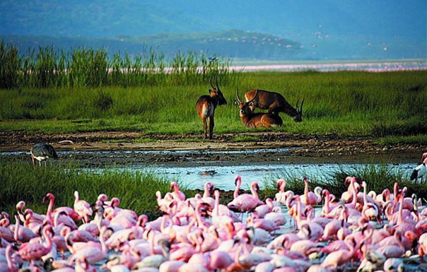 Lake Nakuru National Park