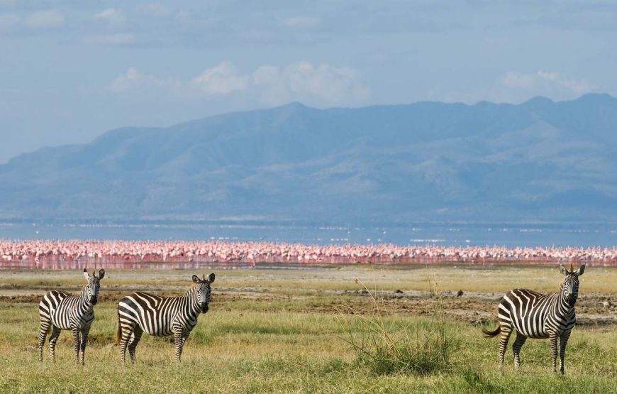 Lake Manyara National Park