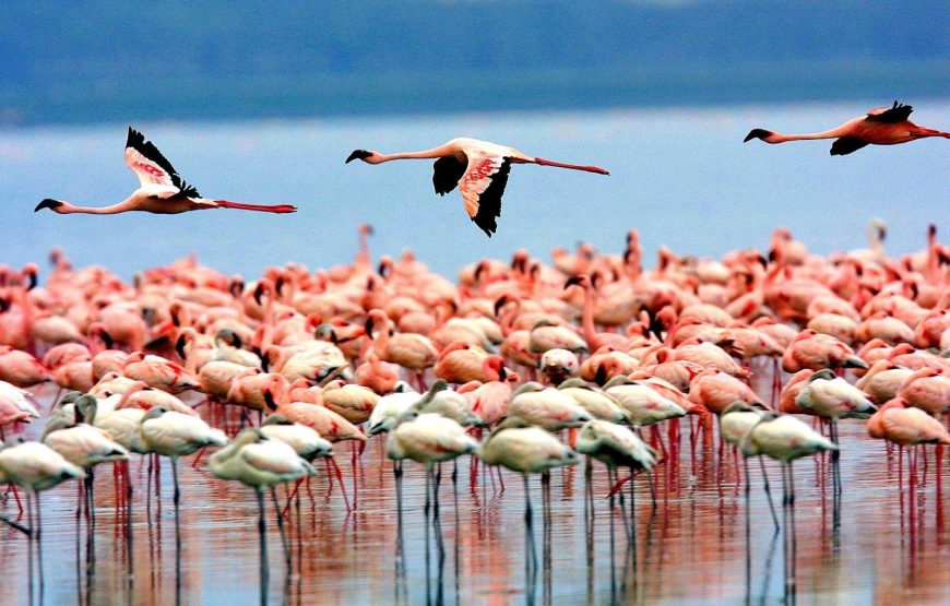 Lake Manyara National Park