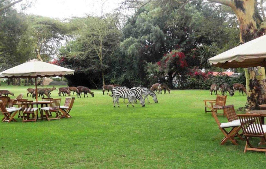 4 Days Naivasha Maasai Mara