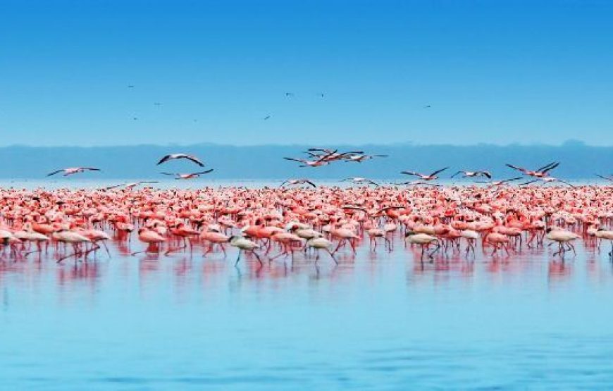 Making Tracks with Sarova – 7 days