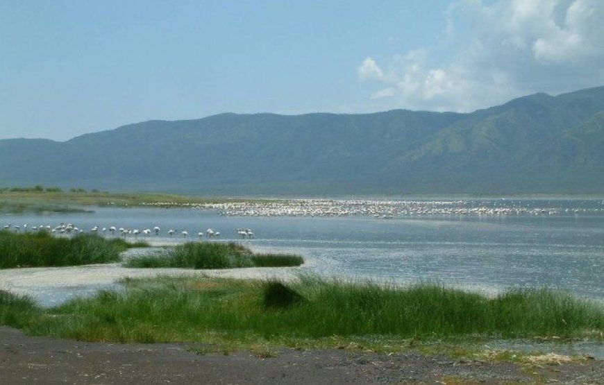 Lake Bogoria National Reserve