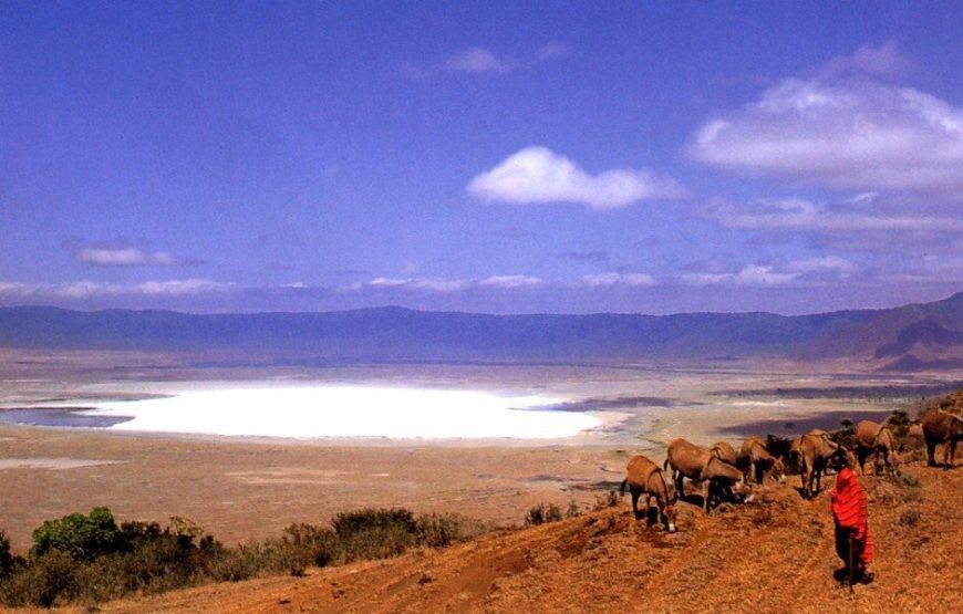 Lake Manyara National Park